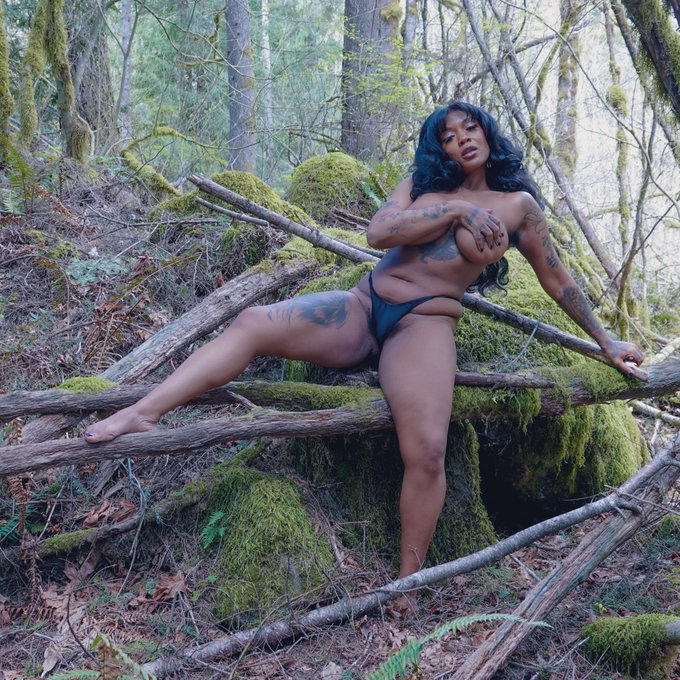 🍃🌳🍃🌳 https://t.co/2UZVwn4z1m