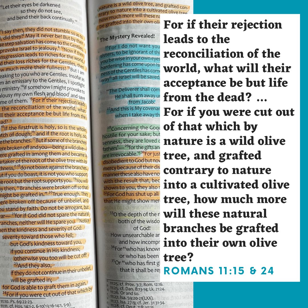 Romans 9, 10, & 11 are so vital for the Body of Messiah to truly grasp, especially in the world we live in today!!! #Romans11v15and24 #Romans11 #Romans9thru11 #TLV #TLVBible
•
#WWL #WordAsAWayOfLife #CoffeeAndTheBible #Discipleship #camperlife