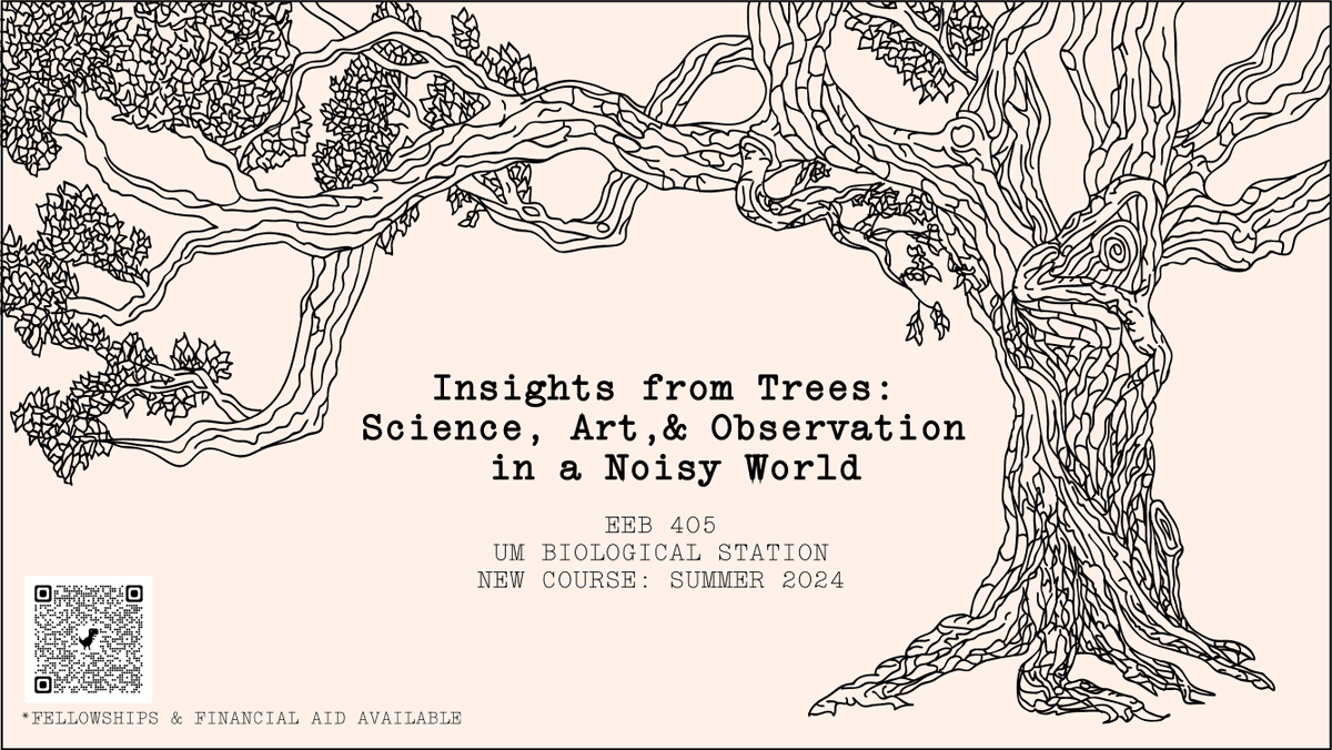 Attn undergrads everywhere: come to the Univ of Michigan Bio Station this summer to take my new course: Insights from Trees: Science, Art & Observation in a Noisy World. @UMich @UMBS (1/4)