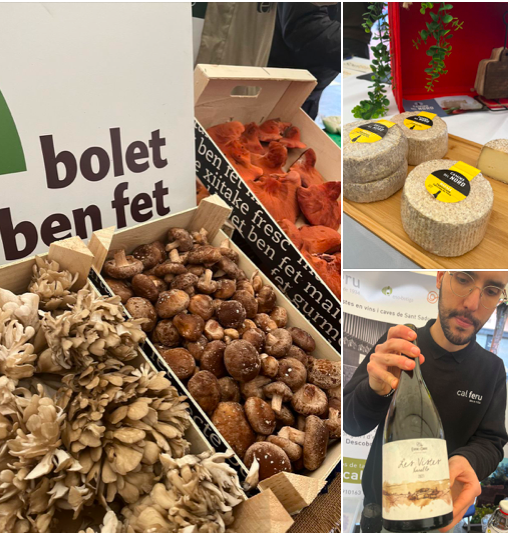 SparklingSpain's tweet photo. Slow Food producers from yesterday in Sant Sadurní d’Anoia. Local cheese, fresh mushrooms, organic wines and sparkling wines – of course. https://t.co/ZOjwxOpT9Z
