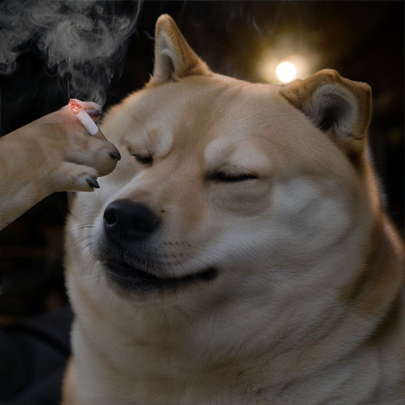 _mintydoge's tweet photo. @JoeyDoge42069 https://t.co/lAf7vM9L4q