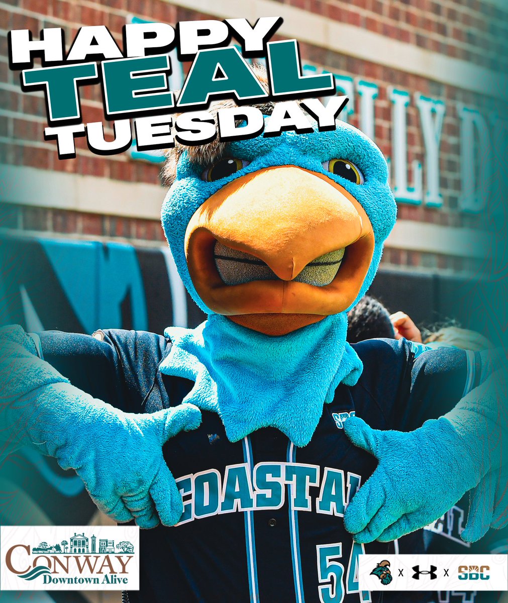 Hope everyone enjoys the last #TealTuesday of the semester!