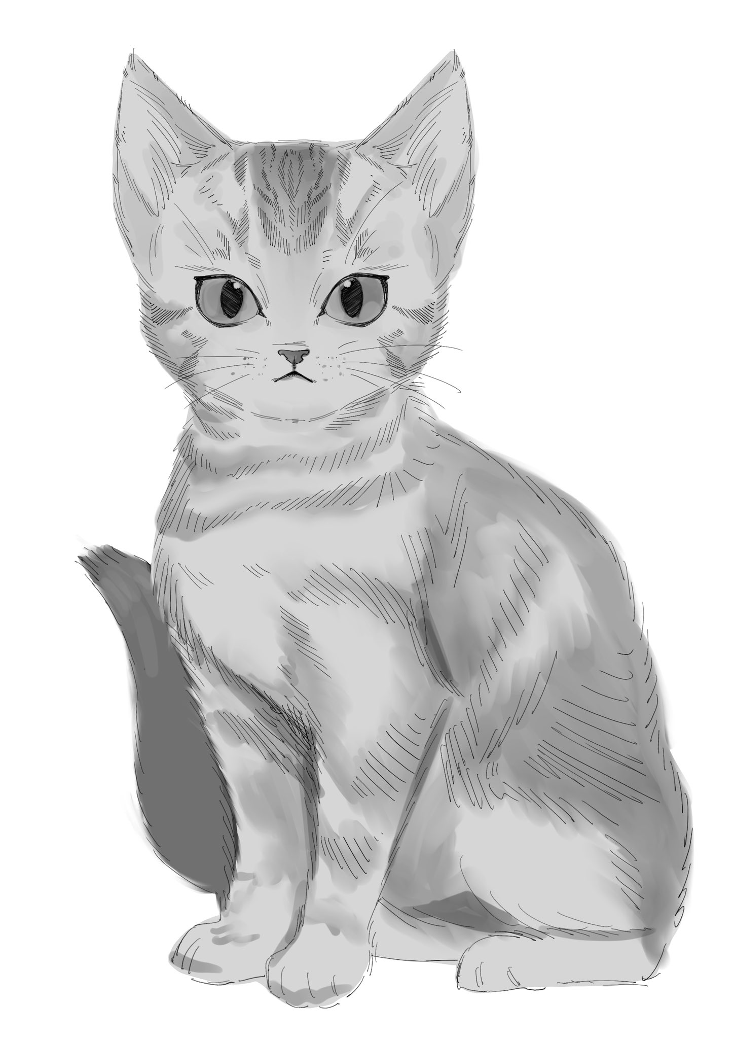 YUKARI 猫イラスト Yukari on X: 