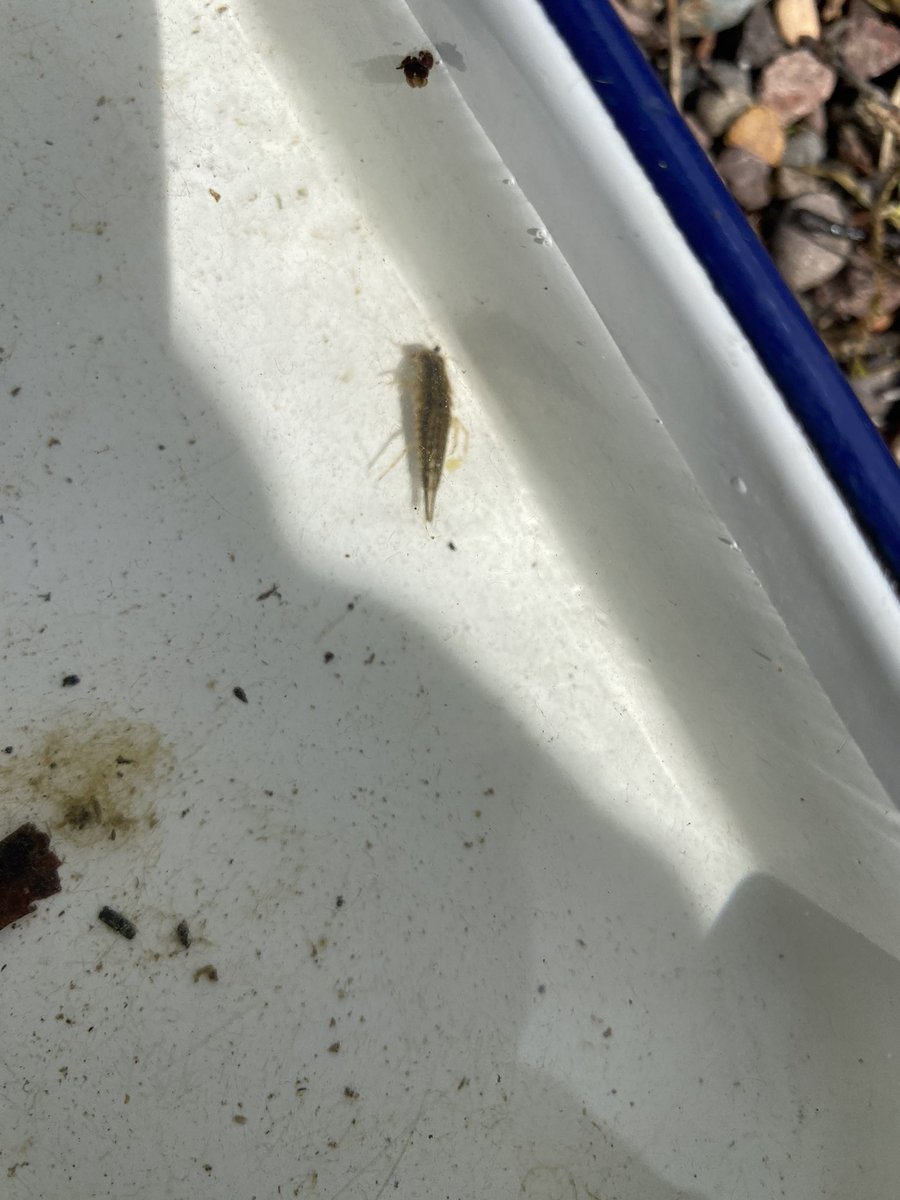 Michelle tweet media