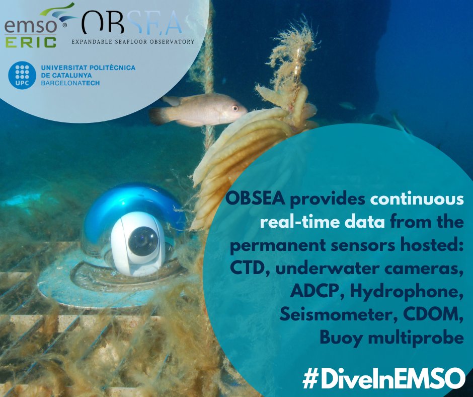 Join us on #DiveInEMSO as we explore the services #OBSEA provides, supported by the underwater cabled observatory. 📽️Live Video Feed: shorturl.at/kqOQ4 🐠AI-based fish detection: shorturl.at/fsJO2 💻Into the deep OBSEA data set: shorturl.at/ktuFW