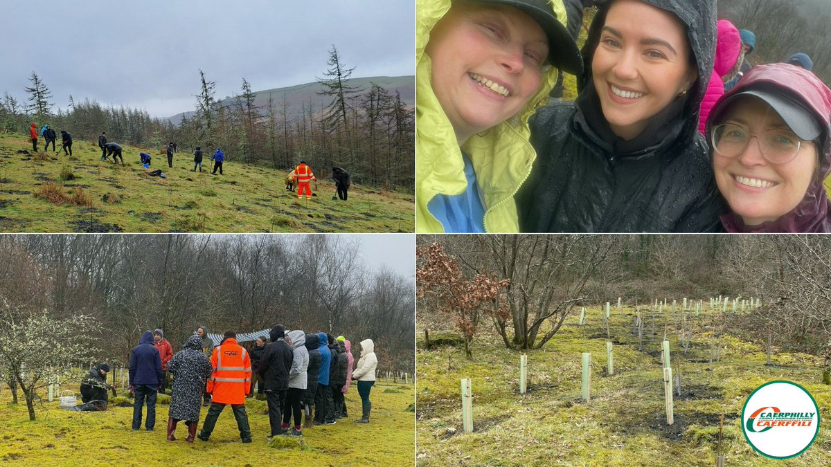 🌳Over 120 volunteers planted trees at Wyllie Woodlands and Park Cwm Darran 👉Read more: bit.ly/3Qs3aga 🌳Dros 120 o wirfoddolwyr wedi plannu coed yng Nghoetiroedd Wyllie a Pharc Cwm Darran 👉Darllen rhagor: bit.ly/49YEcf6