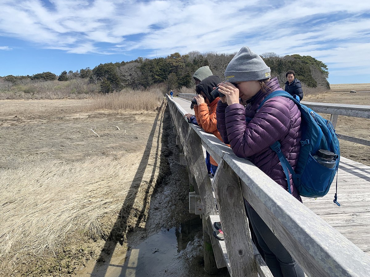 During April Vacation we partnered with friends at @ElevateYouthBos for a trip to the Cape to explore the marshes and beaches while also taking some time to bird watch! 🐦 Our members had so much fun! Thanks to Elevate Youth for making these outings possible! #WeAreDorchester