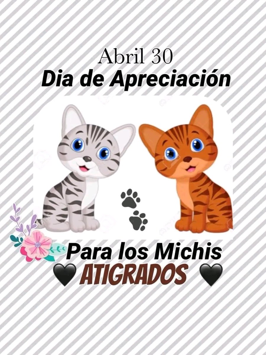 #DiaDeApreciacionParaLosMichisAtigrados ¿Tiene un gatito atigrado? Comparte su foto 🐱🐾