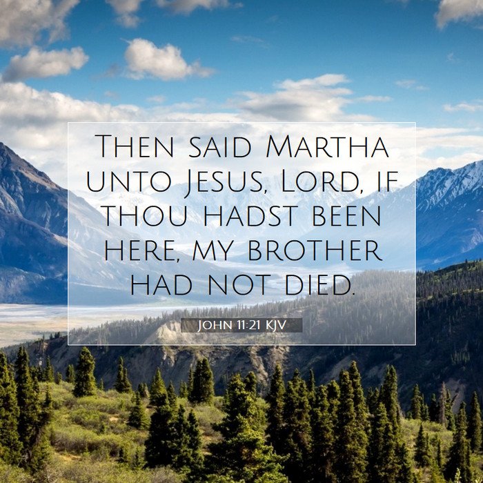 'Lord,' Martha said to Jesus, 'if you had been here, my brother would not have died.'—John 11:21💖🙏💖