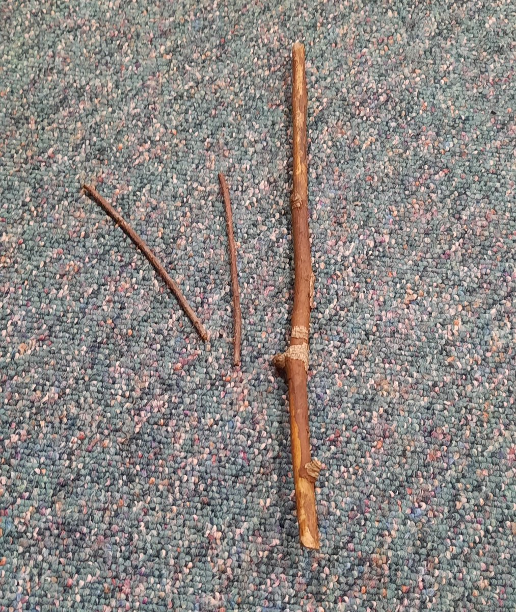 We keep finding mysterious twigs in the library. Is it: a) Pooh and the gang playing Poohsticks of an evening b) Stick Man trying to go home to the family tree c) dropped wands from Hogwarts students wearing an invisibility cloak d) The Hound of the Baskervilles playing catch