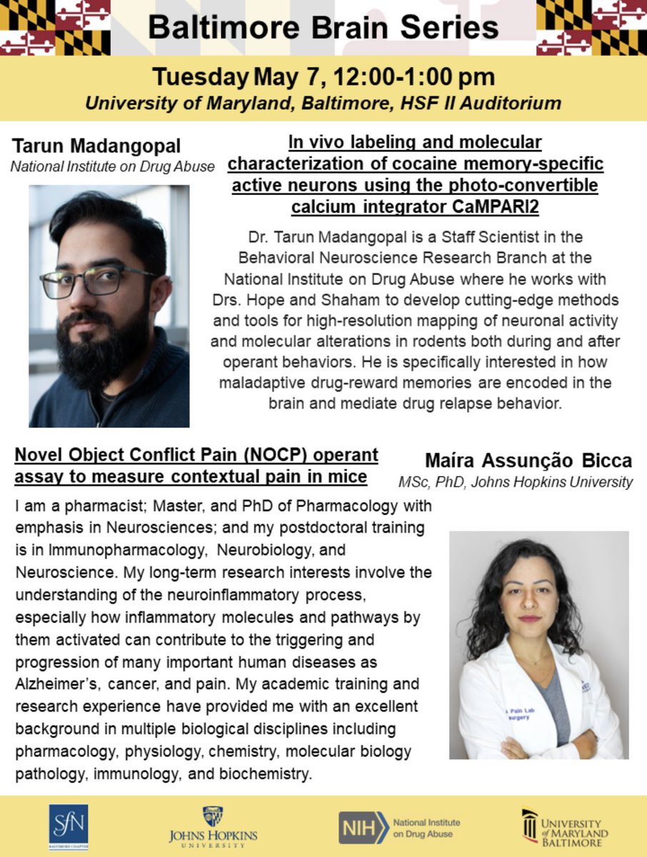 Join us next Tuesday from 12-1 at UMB for another Baltimore Brain Series seminar! Awardees Dr. Tarun Madangopal (@rajtarun) and Dr. Maira Bicca (@bicca_maira) will present their work. Zoom link can be provided upon request! @UMMedNeuro @um_mind