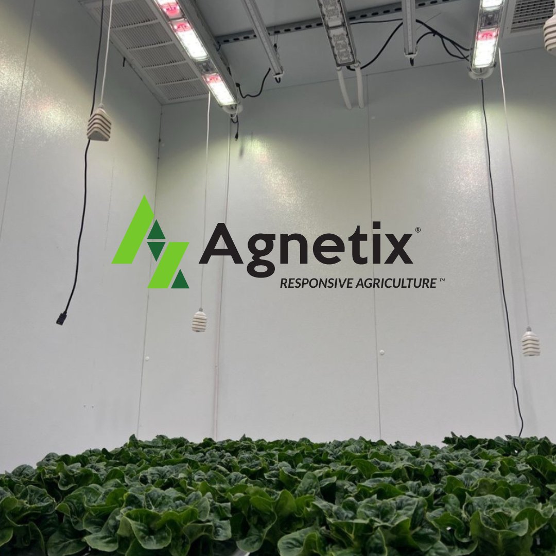 Transforming the growing game with Agnetix! 🌱💡 Our cutting-edge, water-cooled LED lights are setting new standards in indoor agriculture. Experience unparalleled efficiency, superior growth, and sustainability with technology #ChangeTheGame #Agnetix #FutureOfFarming #cea