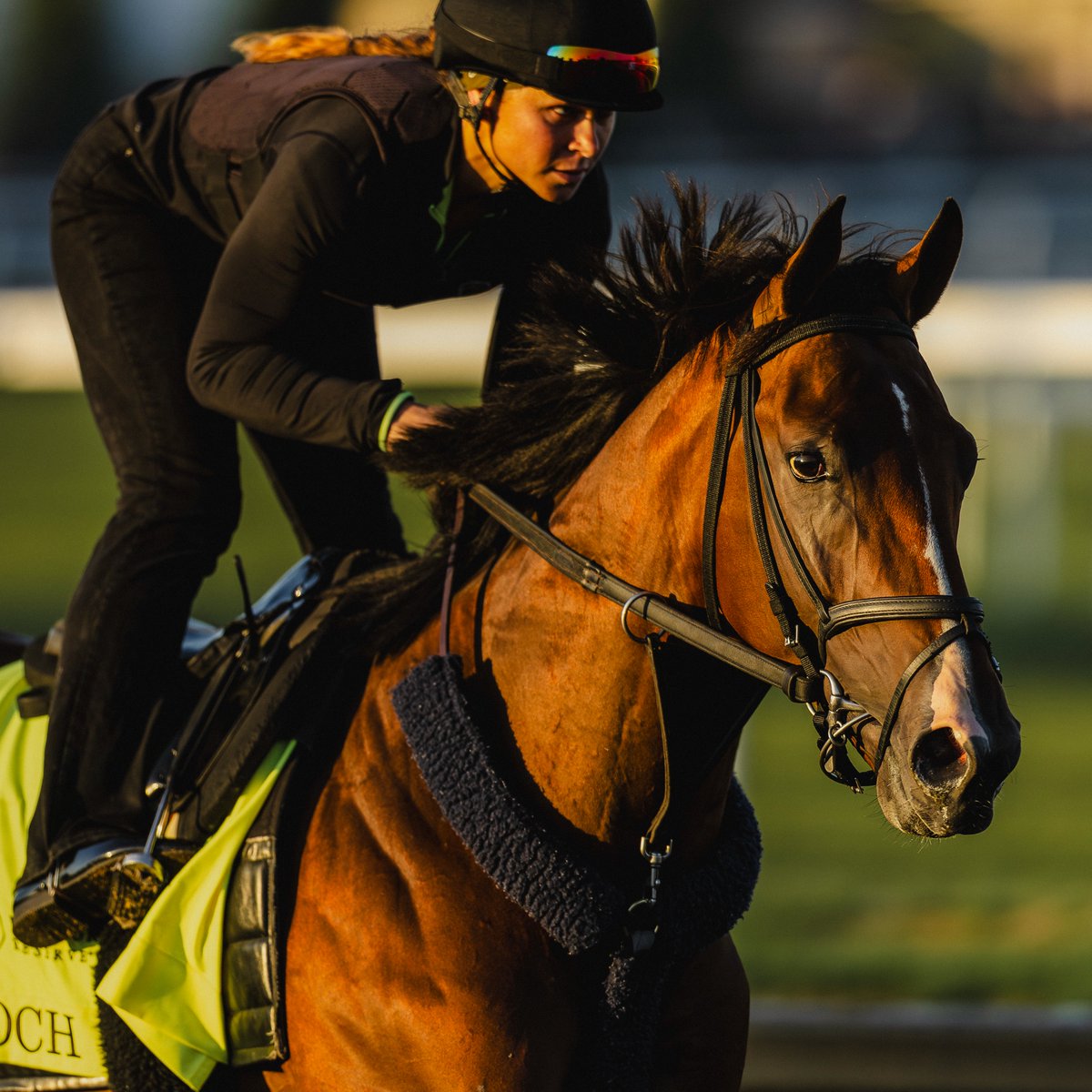 Dornoch, who is a full brother to 2023 #KyDerby winner Mage, will start from post position one this Saturday 💪
