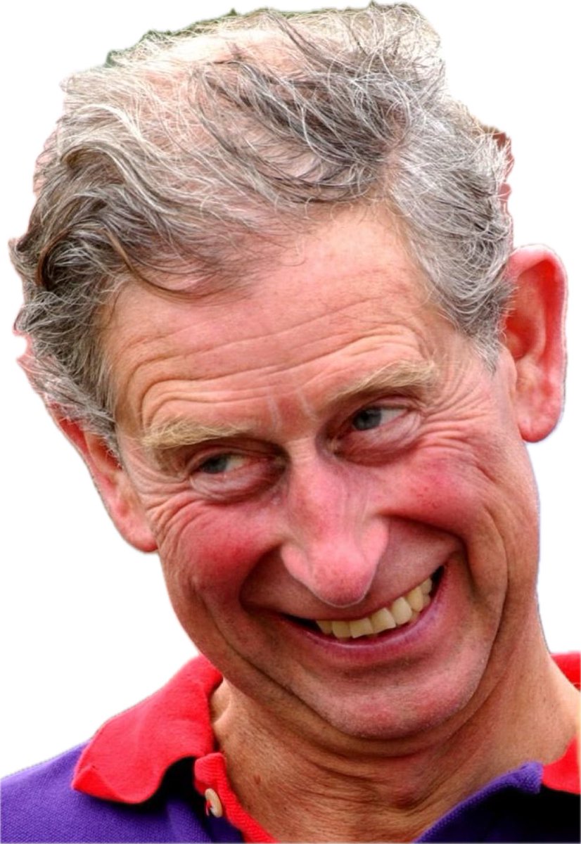 MagaBoogerEater's tweet photo. @Shi4ni After the Royals had their inbred mentally disabled cousins declared dead, to hide their shame, Elizabeth turns around and Marries…
her cousin, creating today’s Modern “royal” Family
Thank God for Diana
Thank God for Meghan.
Fuck the #WelfareMonarchy
RoyalDaddyMumUncleCousin https://t.co/omDqncKQGr