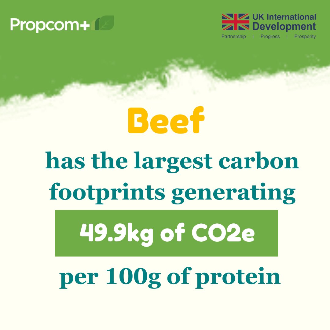 #FunFact from our #Twitterpoll last week. Did you know that #Beef comes in first place as the animal protein source with the largest carbon footprint? Raising animals for meat requires a large amount of land and water and livestock releases methane, a potent greenhouse gas.