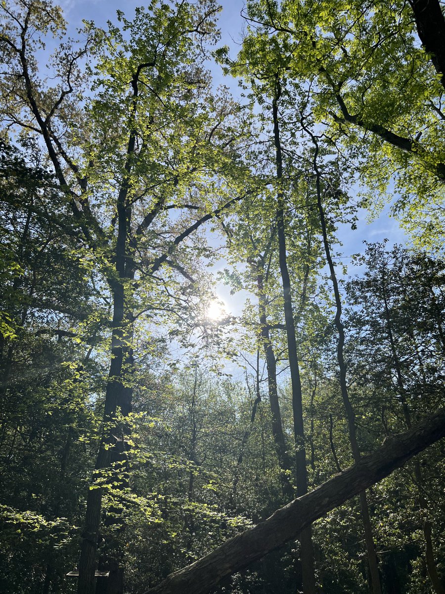 David C. Mills (@davidcmills) on Twitter photo 