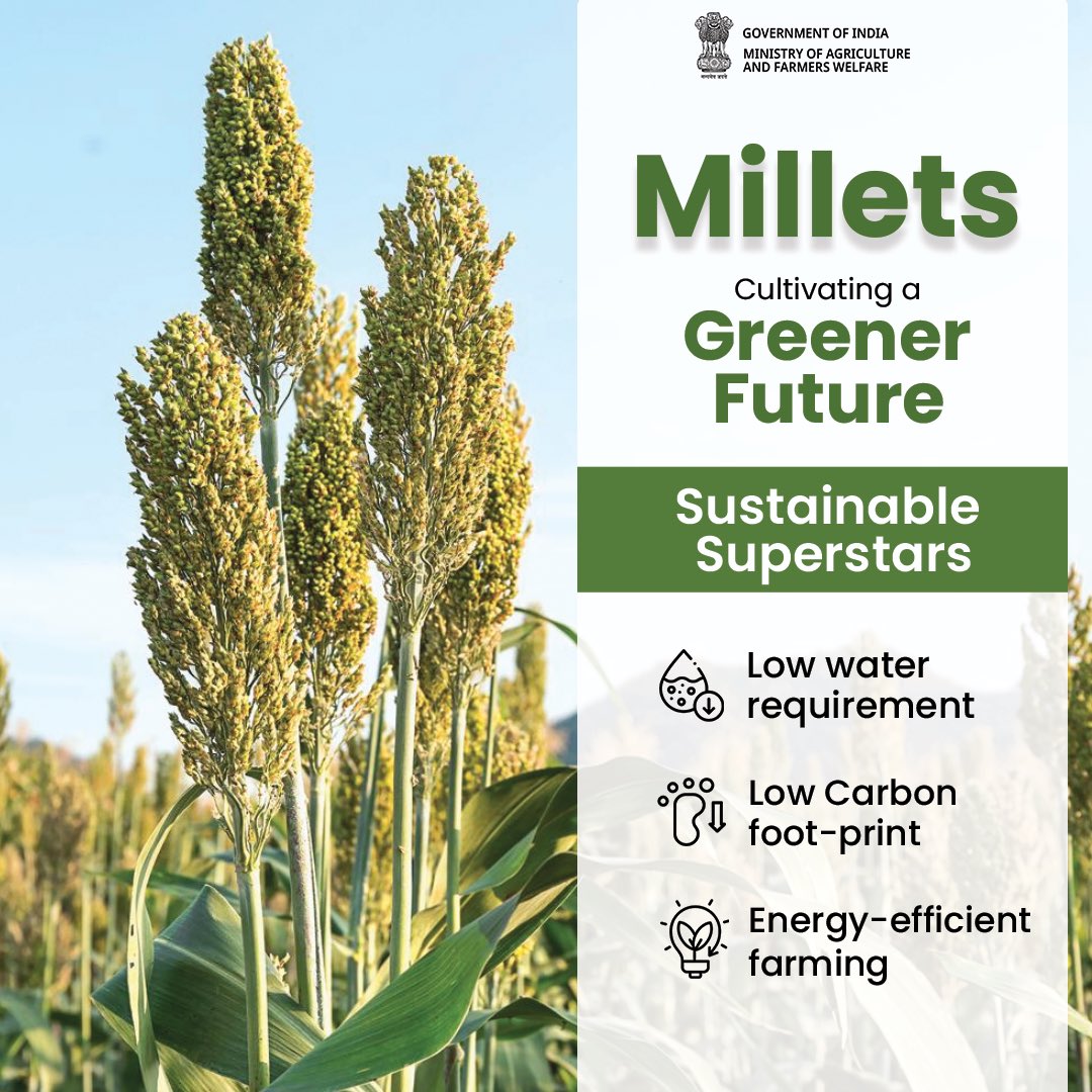 Millets: Sowing sustainability for a healthier tomorrow 

#IYM2023 #ShreeAnna #Sustainable #earth