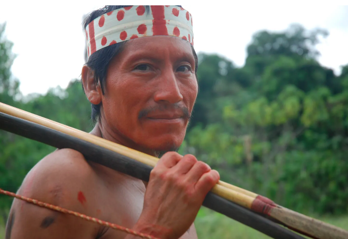 David Hill tweet media