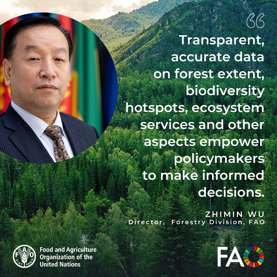 Transparent, accurate data on forest extent, biodiversity hotspots, ecosystem services & other aspects empower policymakers to make informed decisions, @FAO’s Zhimin Wu tells FAO- @theGEF forest data transparency webinar

👉ow.ly/5LLo50Rg7G6

#CBITForest #AIM4Forests