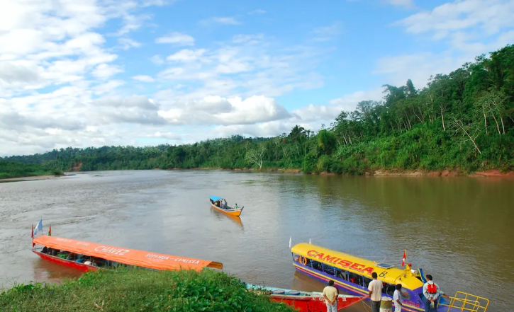 David Hill tweet media