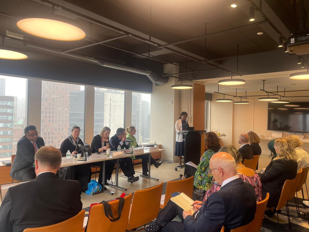 Today in New York, parliamentarians look back at the important IPCI conference during #CPD side event. 🇩🇰MP @birgitte_vind stressed the importance of all-party cooperation to advance progress on SRHR by securing funding & ensuring rights through legislation.