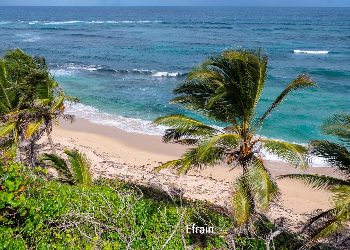 Hi my friends, Good morning, Happy Tuesday, good vibes only, stay safe, God bless you 🙏🤙🌊🌴 🌞🏖🌞🏖🌞🏖🌞🏖 #Surf #PuertoRico @Soy_Donna_💙I love you @LuDonna_ ❤️I love you @Efrain1_D🙌 @Efrain2__ 🏄🏻‍♂️ @DE_SILVIA_T @Atlanna__ @DonnaEfrain 🥰 @NairaEyen 🤗