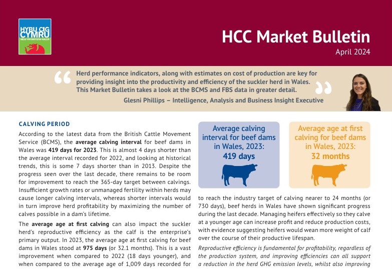 Productivity and returns on Welsh beef farms can both be boosted by actions to further reduce calving intervals and better manage costs, new data suggests. Read more in HCC's Market Bulletin which can be found here: meatpromotion.wales/en/news-indust…