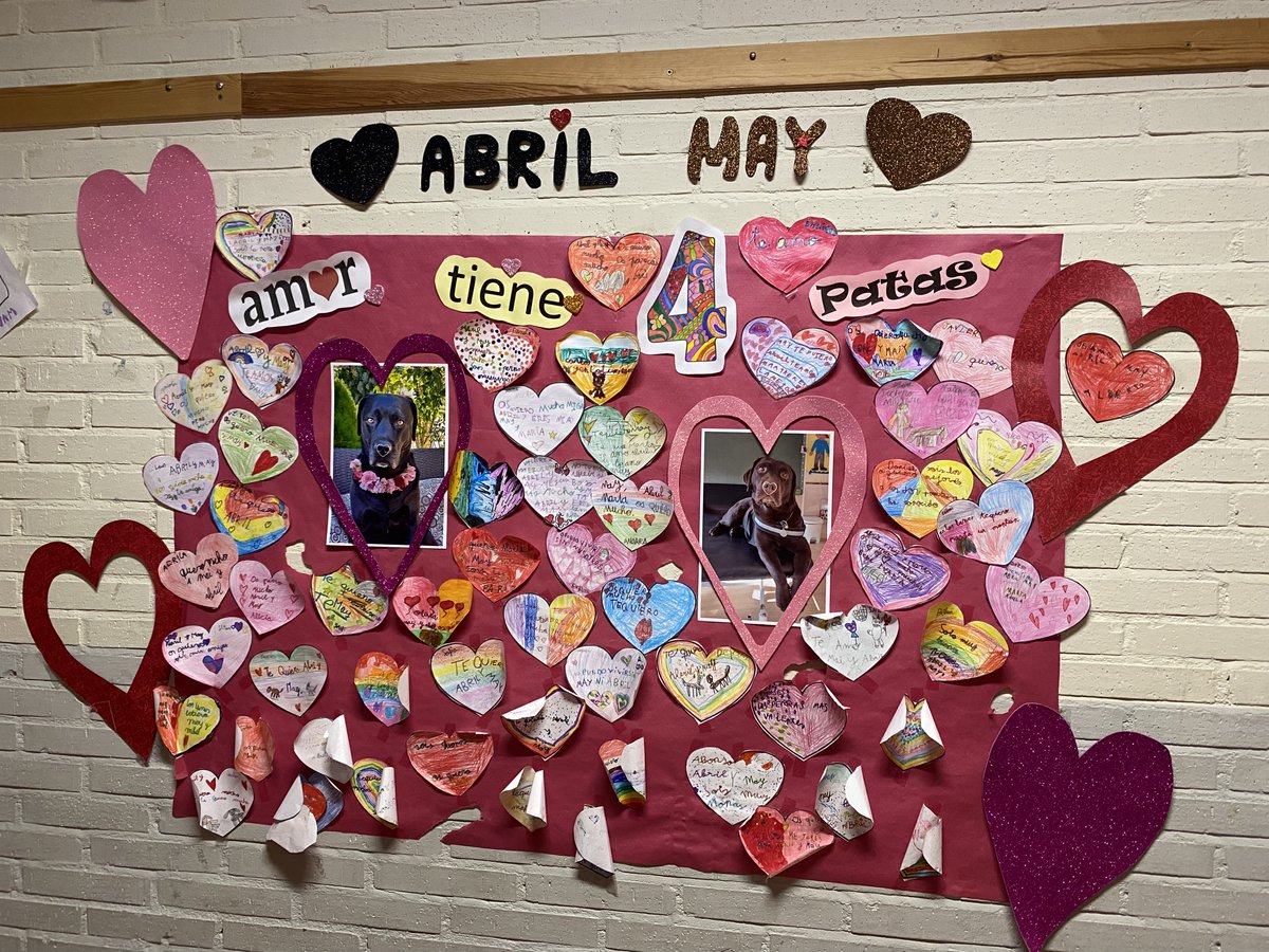 TProfpri's tweet image. Mañana disfrutona observando a mi compi de #One2One gracias al proyecto #Observa_Acción #Comunica_Acción del @CFPIdiomas entre @ceipkantica y #Álvar_Fáñez. Gracias Raquel por tu buena acogida #innovaCyL @educacyl @ceipkantica