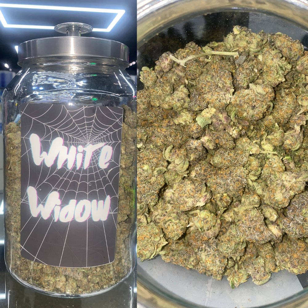 Try White Widow today and discover the magic of this legendary strain! 🌿✨ #WhiteWidow #CannabisStrain #ElevateYourExperience