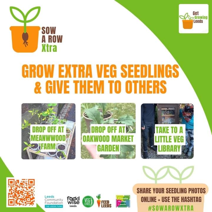 We are well under way with little veg seedlings being planted all over leeds. Want to join in. Its easy. Just sow a row extra. Want to know more? Linktr.ee/feedleeds