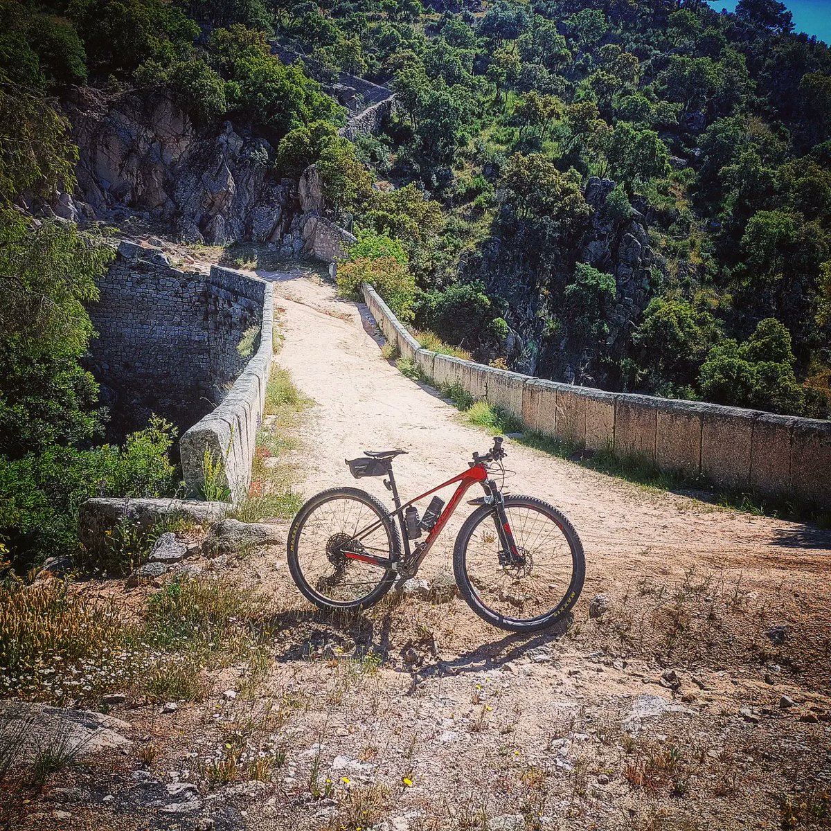 Isma Muñoz tweet media