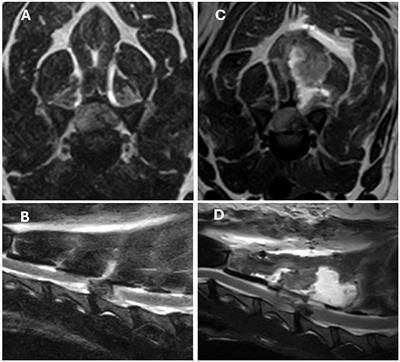 dorsal #laminectomy for the treatment of lateralised cervical intervertebral disc extrusions in dogs—Prognosis and complications buff.ly/3wiEeAL