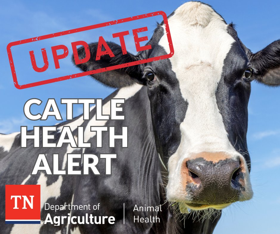 State Veterinarian, Dr. Samantha Beaty D.V.M., has issued updated import restrictions on dairy cattle to Tennessee. Effective immediately and continuing until further notice. tn.gov/content/dam/tn…