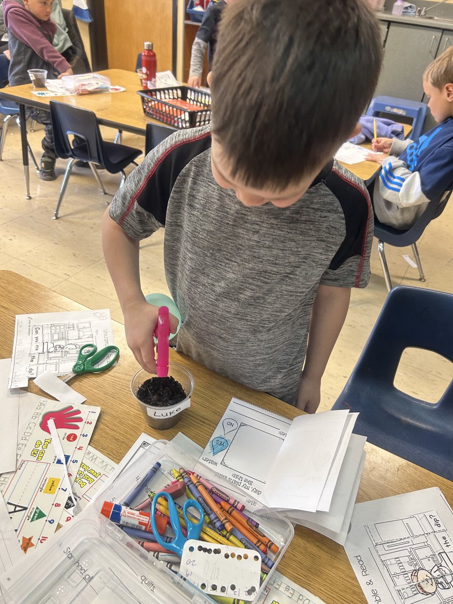 EBEPrincipal's tweet photo. Kindergartners have planted radish seeds and are using the scientific method to observe and document the growth of their seeds. Yesterday was exciting as many of the seeds have started to germinate.  They are learning that botany is fun! #elgerbayexplorers https://t.co/Gj94YYrIZY