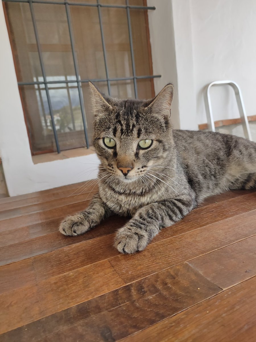 Lo primero bondad, lo segundo talento...y así termina el cuento