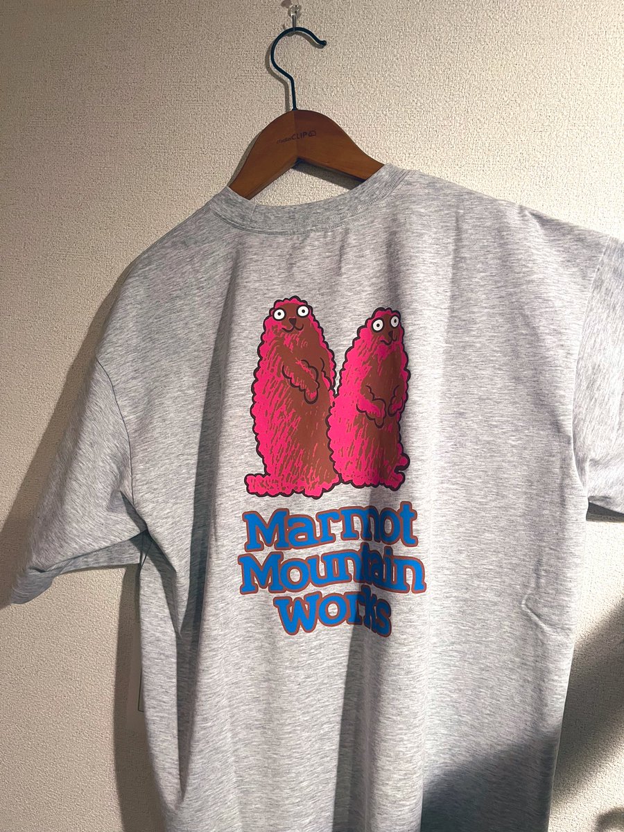 Marmot x BEAMSのTシャツ買ったやつ届きました。なかなか良さげです。