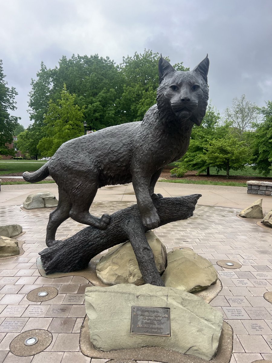 ⁦@KentuckyTrack⁩ “Til the battle is won, Win the moment with #people , #passion , and #pride . #Edge #Toughness #Gratitude 💯💙 #BBN #Wildcats #WeAreUK