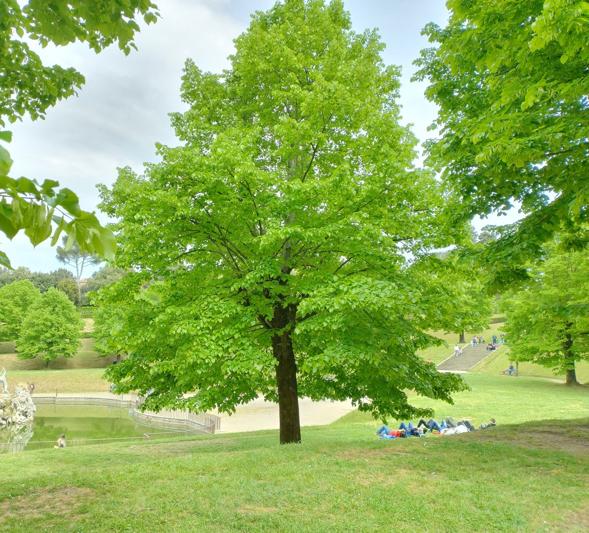 Il verde è il colore della serenità...