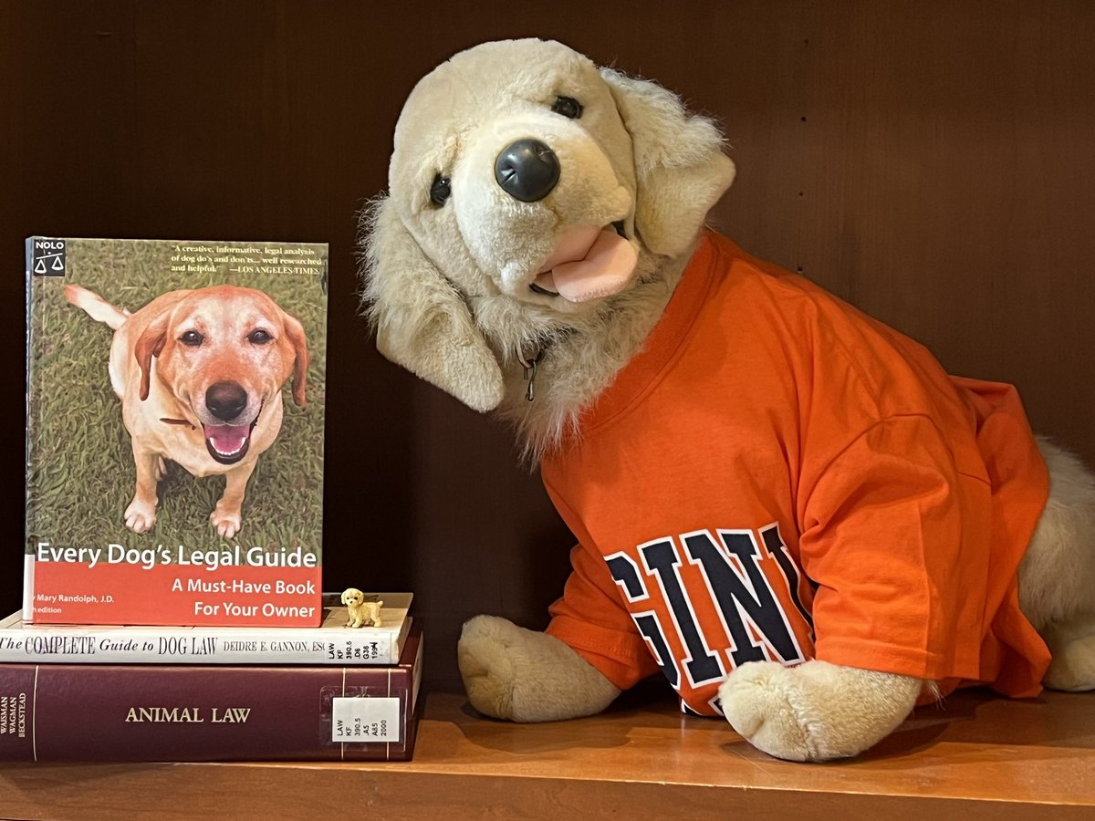 Gunner the Wonderdog has made his appearance! And so have some little study buddies throughout the library!! Good luck on exams everyone! #UVALaw