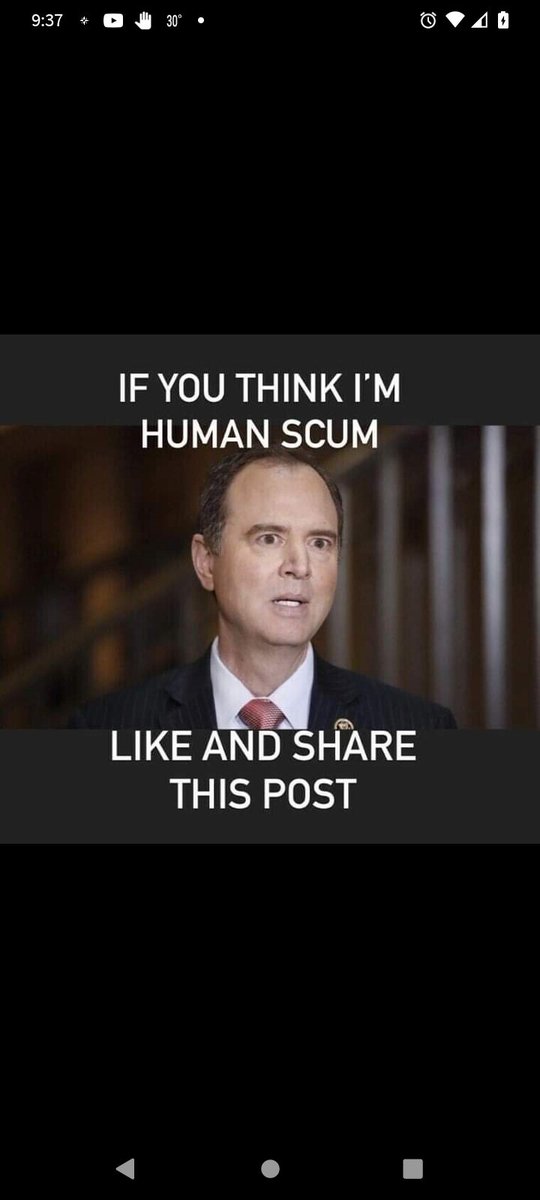 Is this how you would describe Adam Schiff?