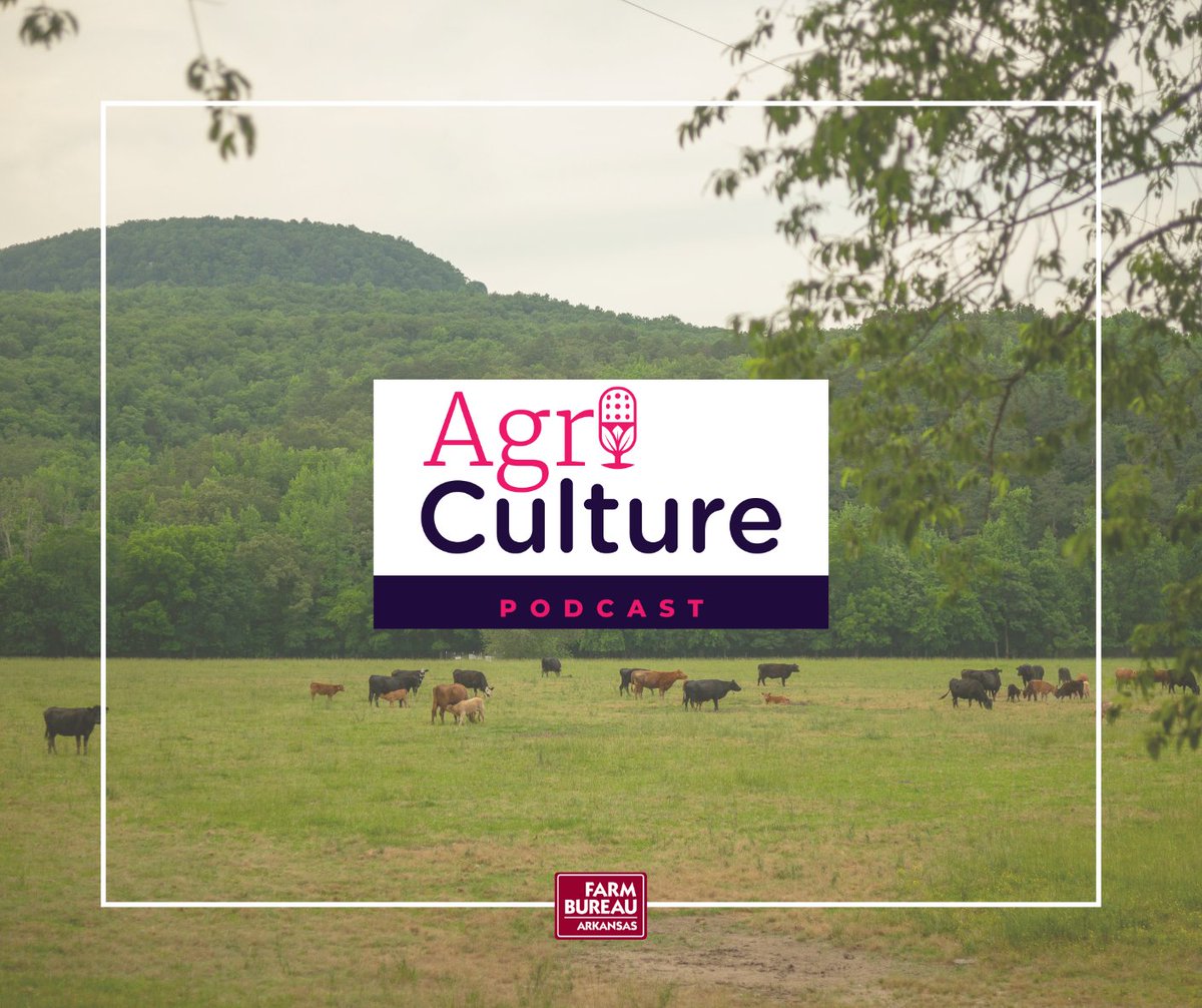 AgriCulture is ArFB’s newest podcast, and the first episode is available today! It’s the first of a 5-part AgriCulture series on the Buffalo River and its future. Listen here ow.ly/pGPo50Rsxzj.