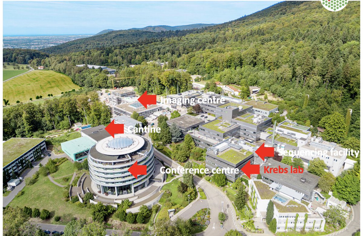 If you like gene regulation and want to join a stimulating international environment - with cutting edge facilities - top healthcare and family benefits. Join us for a post-doc @embl - funded by ERC embl.org/jobs/position/…