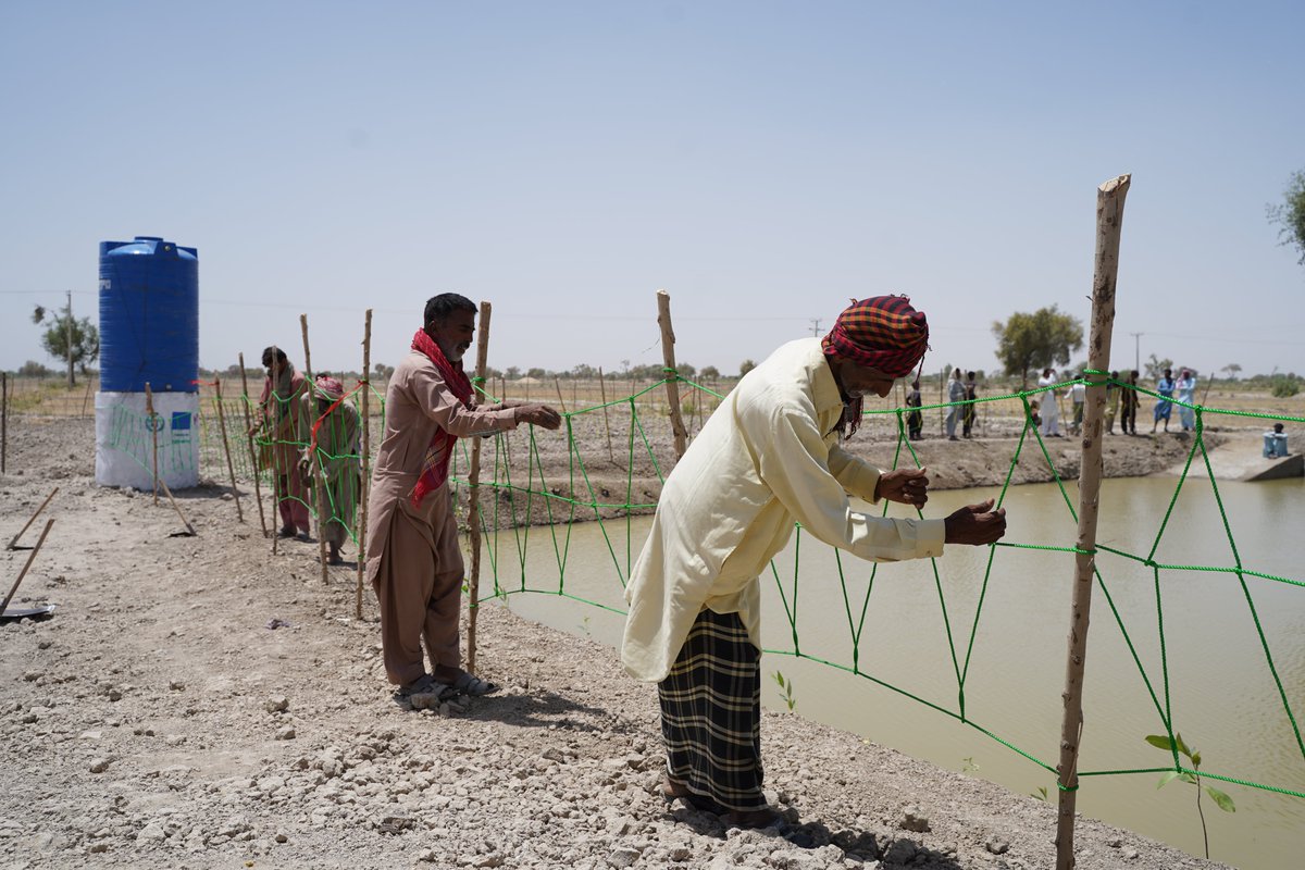 The delegation observed cash distribution and inspected project sites like rainwater ponds and communal washing pads. They also interacted with WFP beneficiaries, discussing the project's impact on livelihoods, community resilience, and economic stability. 🧵2/2