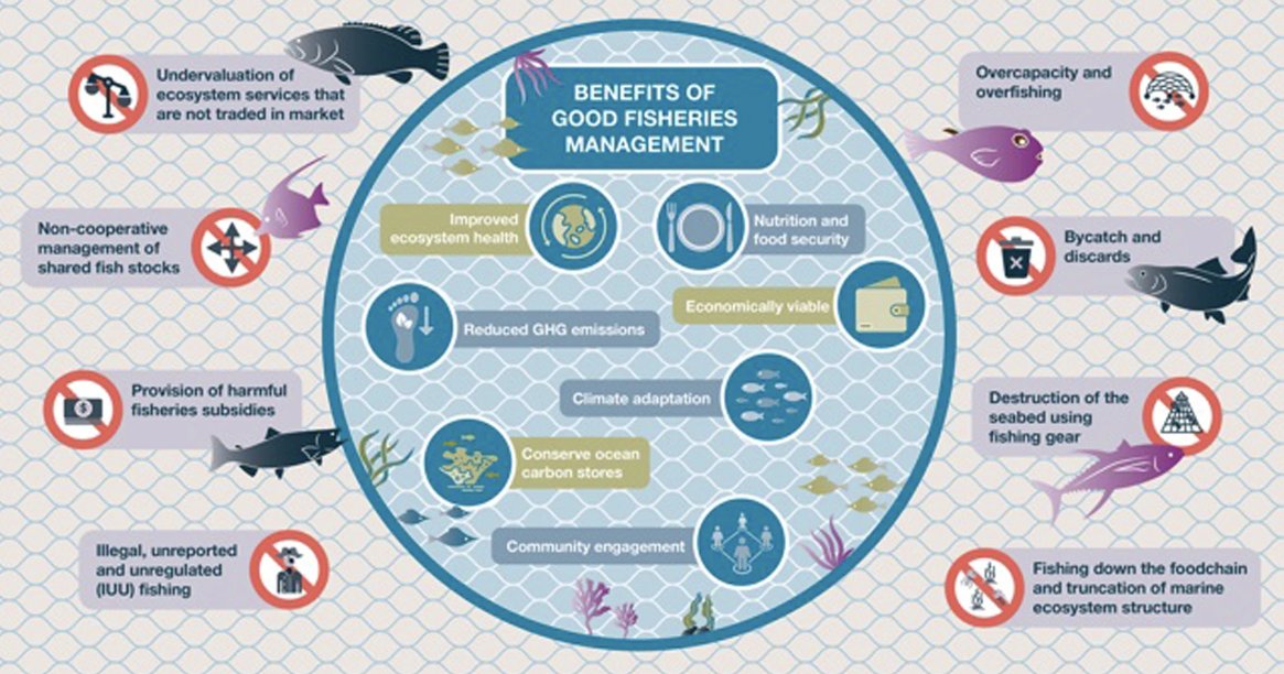 #Overfishing is disrupting causing disturbance & damage to the seabed and contributing to rising #GHGEmissions. Scientists show that by phasing out destructive fishing practices, we can store carbon, restore marine biodiversity & drive climate resilience. communicationsinc.co.uk/ocean_isu_blog…