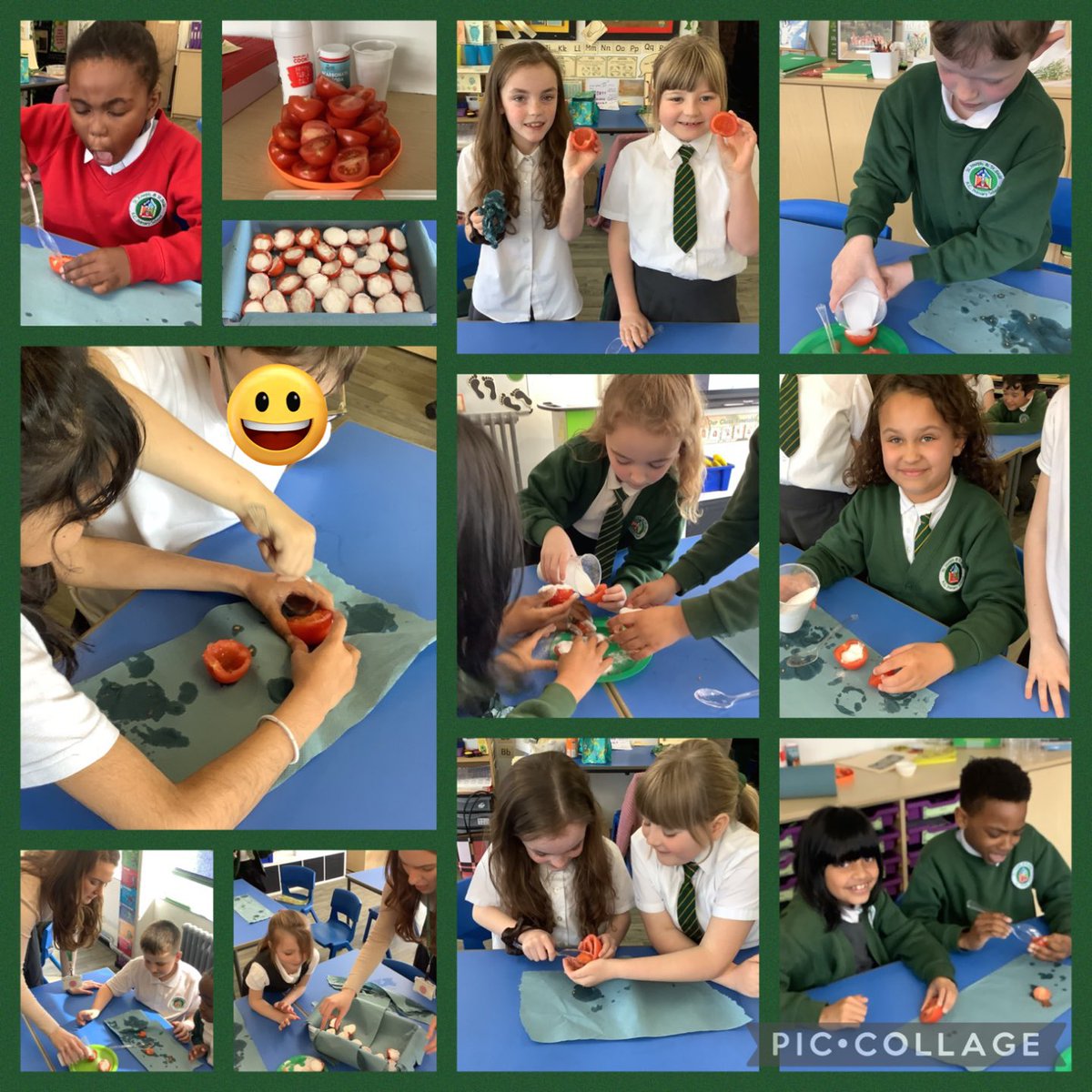 Today we have been learning about the ancient Egyptian mummification process. We applied part of this process by mummifying tomatoes 🍅 We scooped out their ‘organs’, dried their insides and filled them with natron (salt) in order to completely dry them out! #sjsbhistory