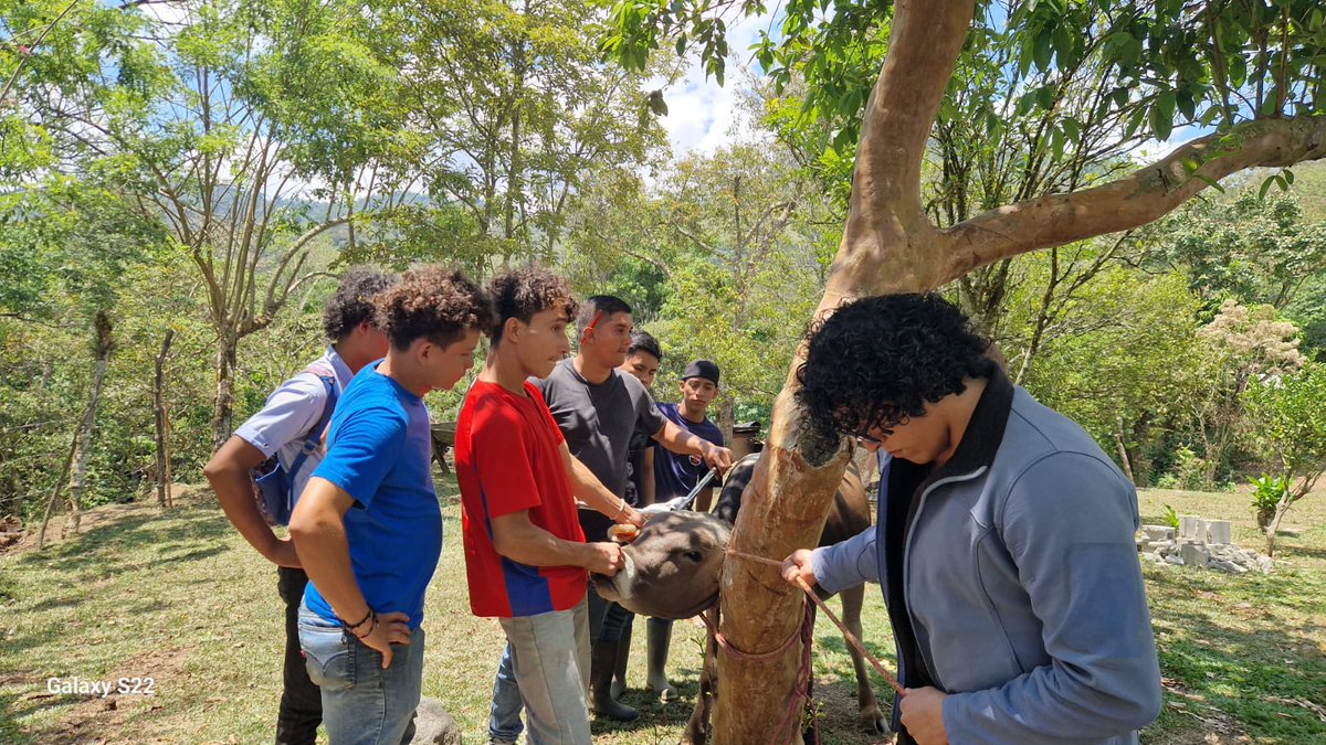 CT Subcomandante Laureano Mairena Aragón, Jalapa tweet media