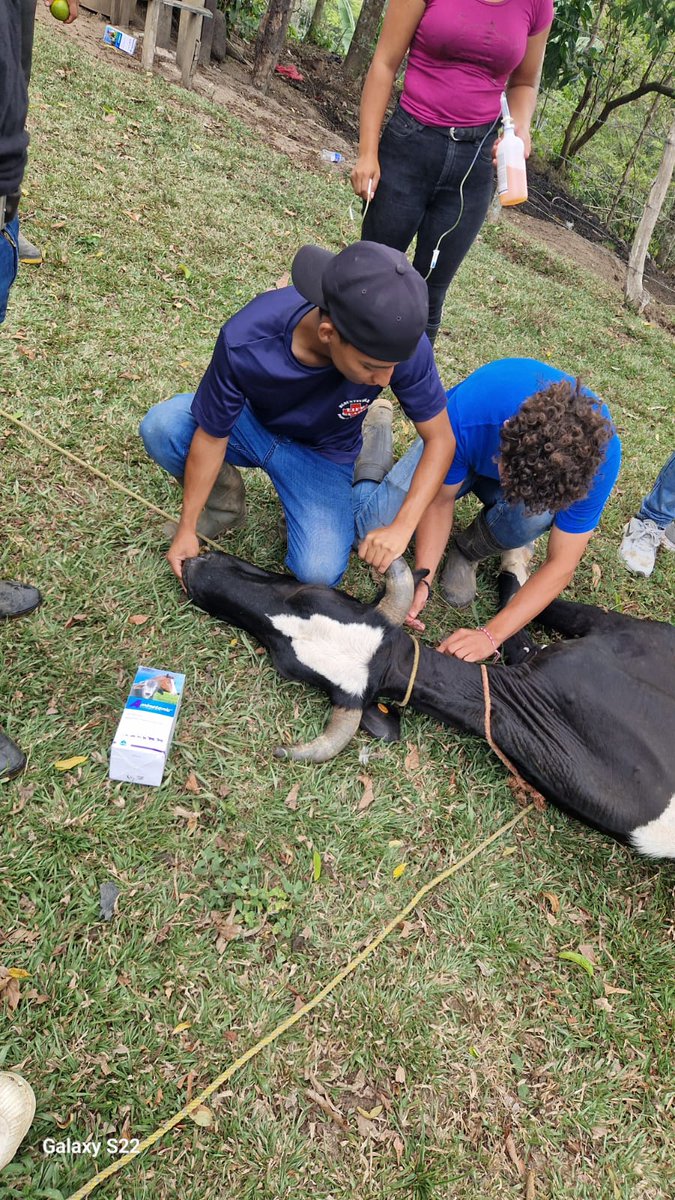 CT Subcomandante Laureano Mairena Aragón, Jalapa tweet media