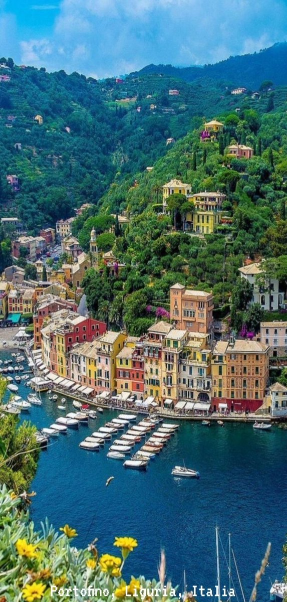 Portofino, pueblo pesquero, ícono de la elegancia y buena vida italiana,  se halla  en la costa de la región de Liguria a 30 kms de Génova y a 50 kms de Cinque Terre, dos lugares imperdibles en tu viaje a la costa de Liguria.
#amazing #beautiful