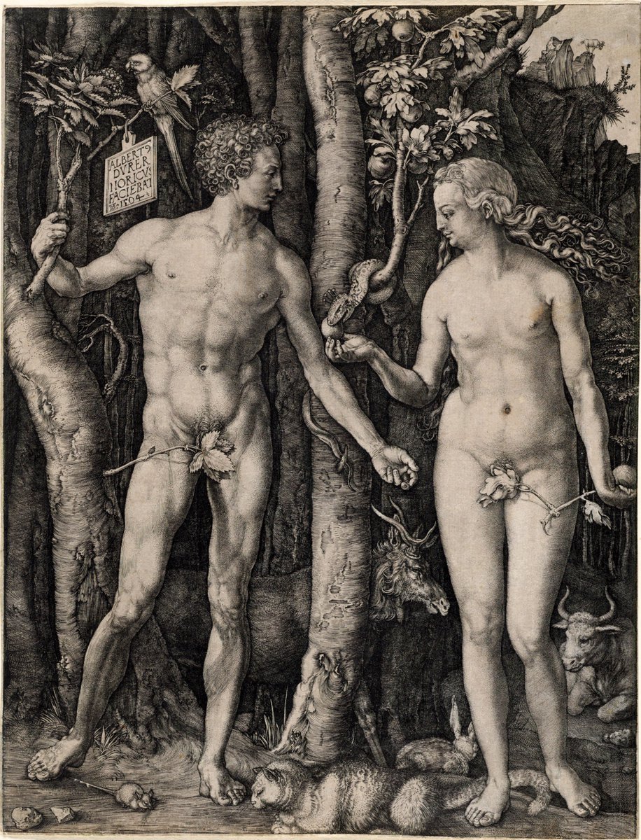 Adam and Eve
Albrecht Dürer
1504 
Boston Public Library

#Renaissance #Renaissanceart #arthistory