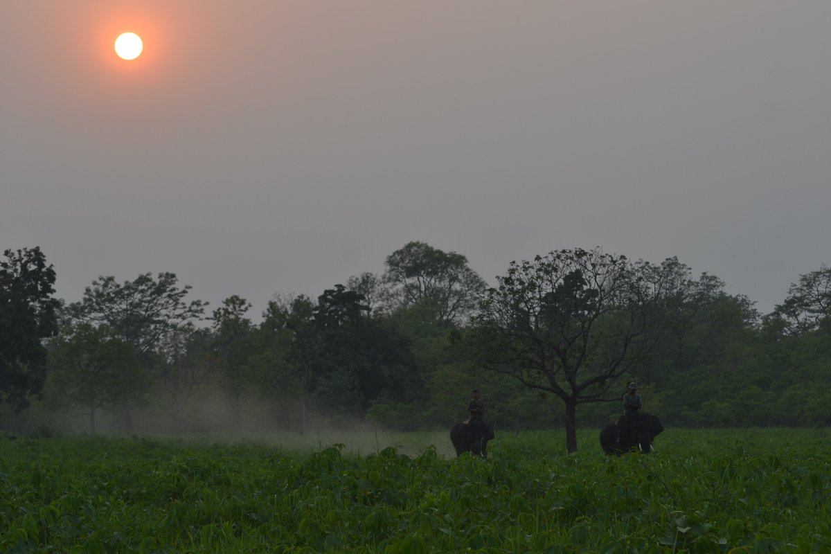 As the day ends- in Manas National Park, Assam.